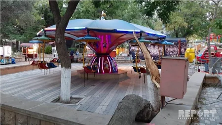 Bakıda parkda ağacın budaqları qırılaraq attraksionların üstünə düşüb - FOTO