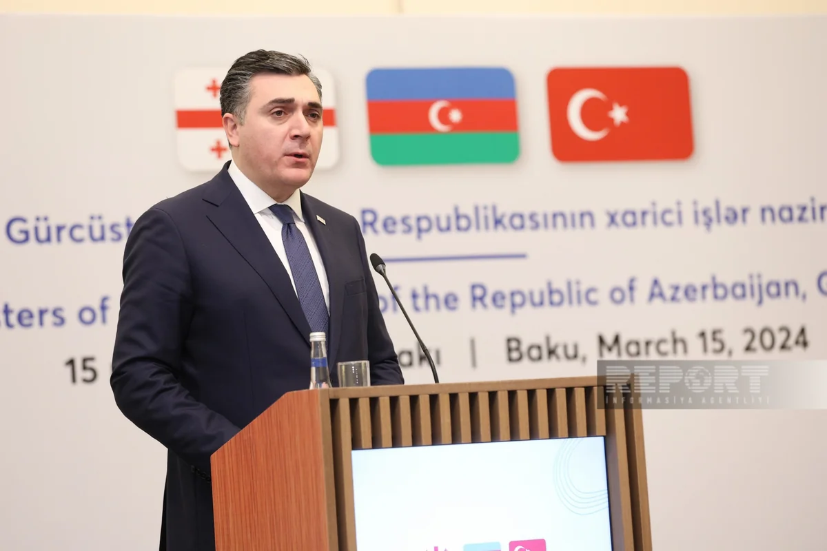 İlya Darçiaşvili: XİN rəhbərlərinin görüşü regional əməkdaşlığın effektiv mexanizmlərindən biridir