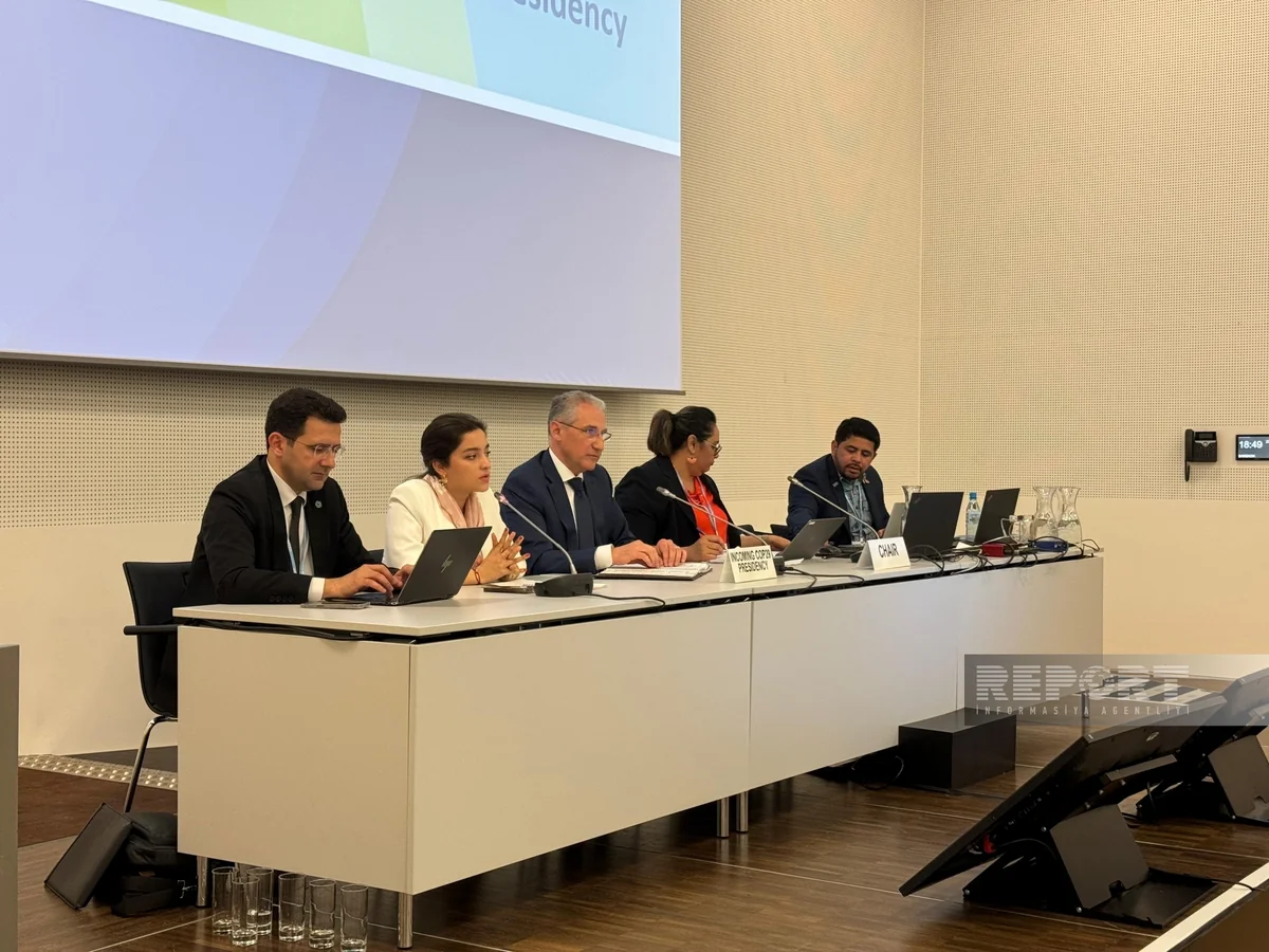 COP29 prezidenti kiçik ada dövlətləri üzrə Danışıqlar Qrupunun nümayəndələri ilə görüşüb