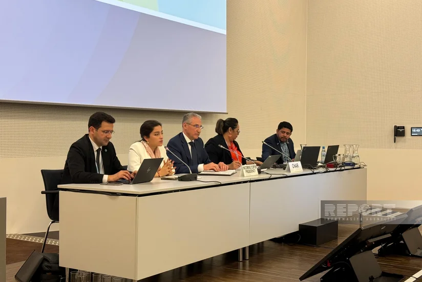 COP29 prezidenti kiçik ada dövlətləri üzrə Danışıqlar Qrupunun nümayəndələri ilə görüşüb