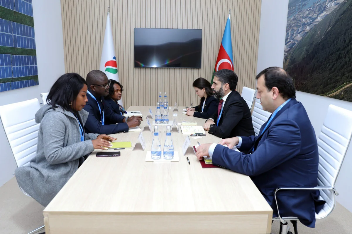SOCAR explores potential green energy collaboration with Guinea-Bissau