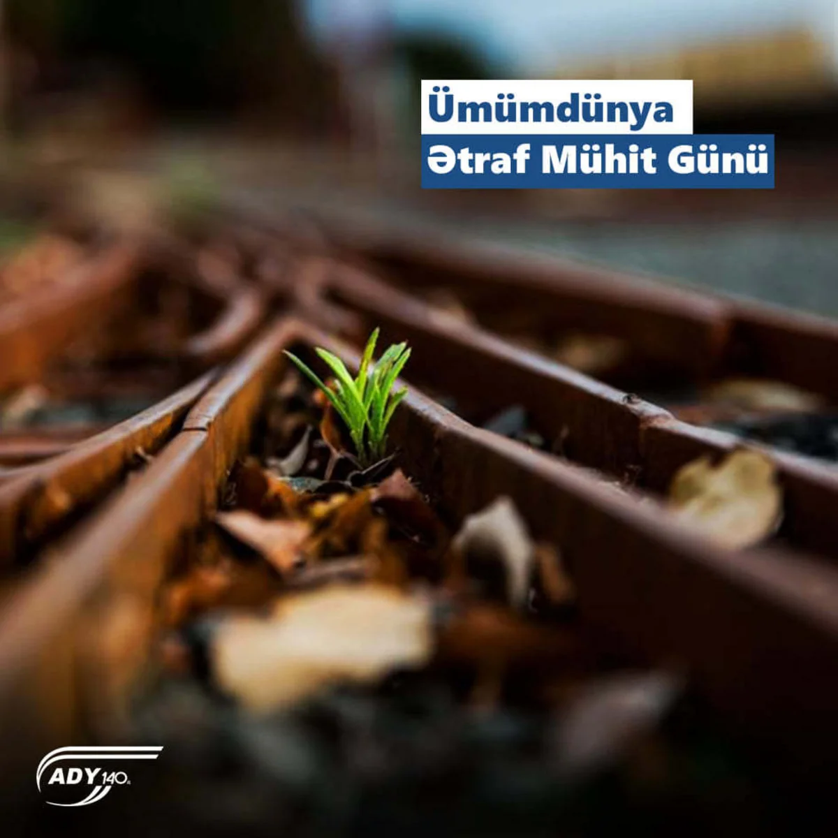 ADY ətraf mühitin qorunması istiqamətində fəaliyyətini genişləndirir
