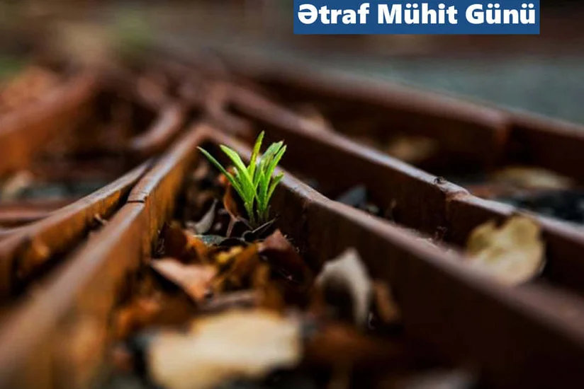 ADY ətraf mühitin qorunması istiqamətində fəaliyyətini genişləndirir