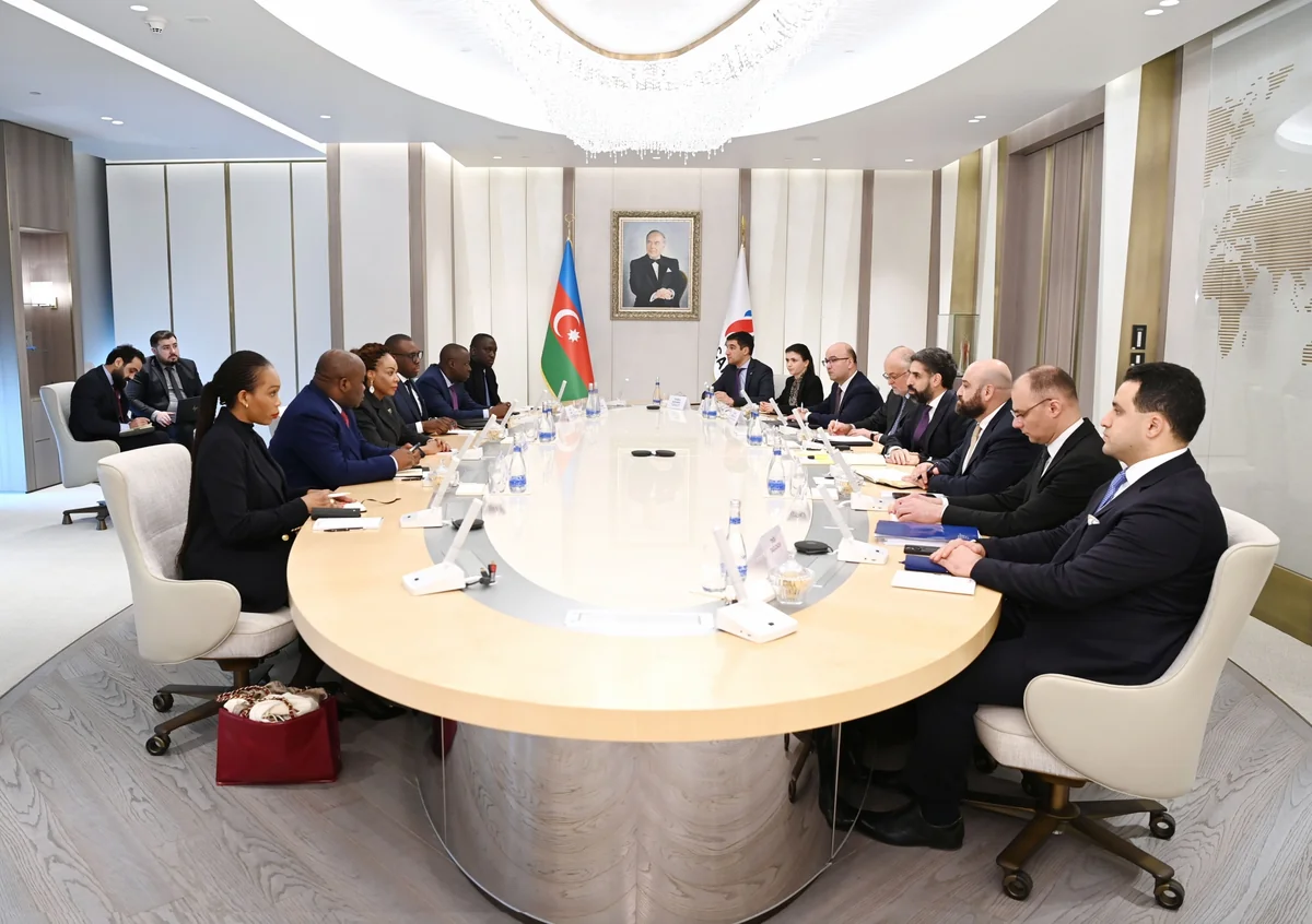 Azerbaijan, Congo explore oil, petroleum products trading cooperation