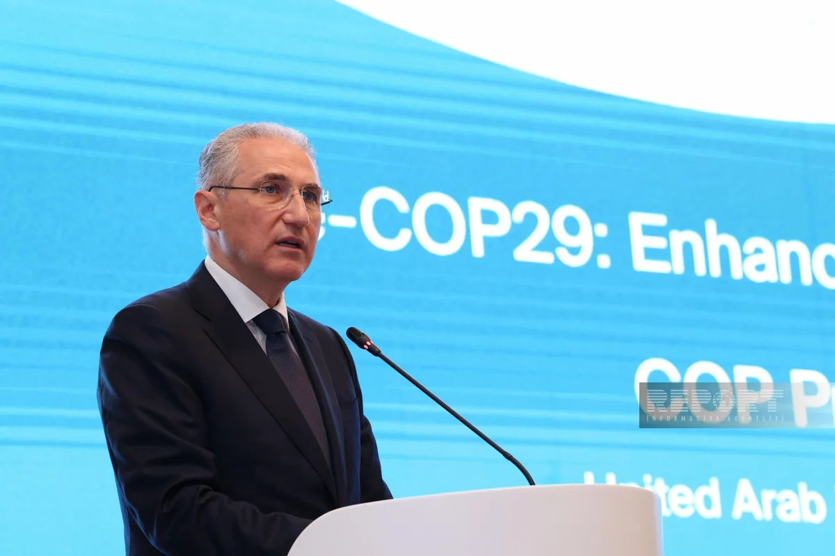 Mukhtar Babayev: Azerbaijan to seek to eliminate climate change issues
