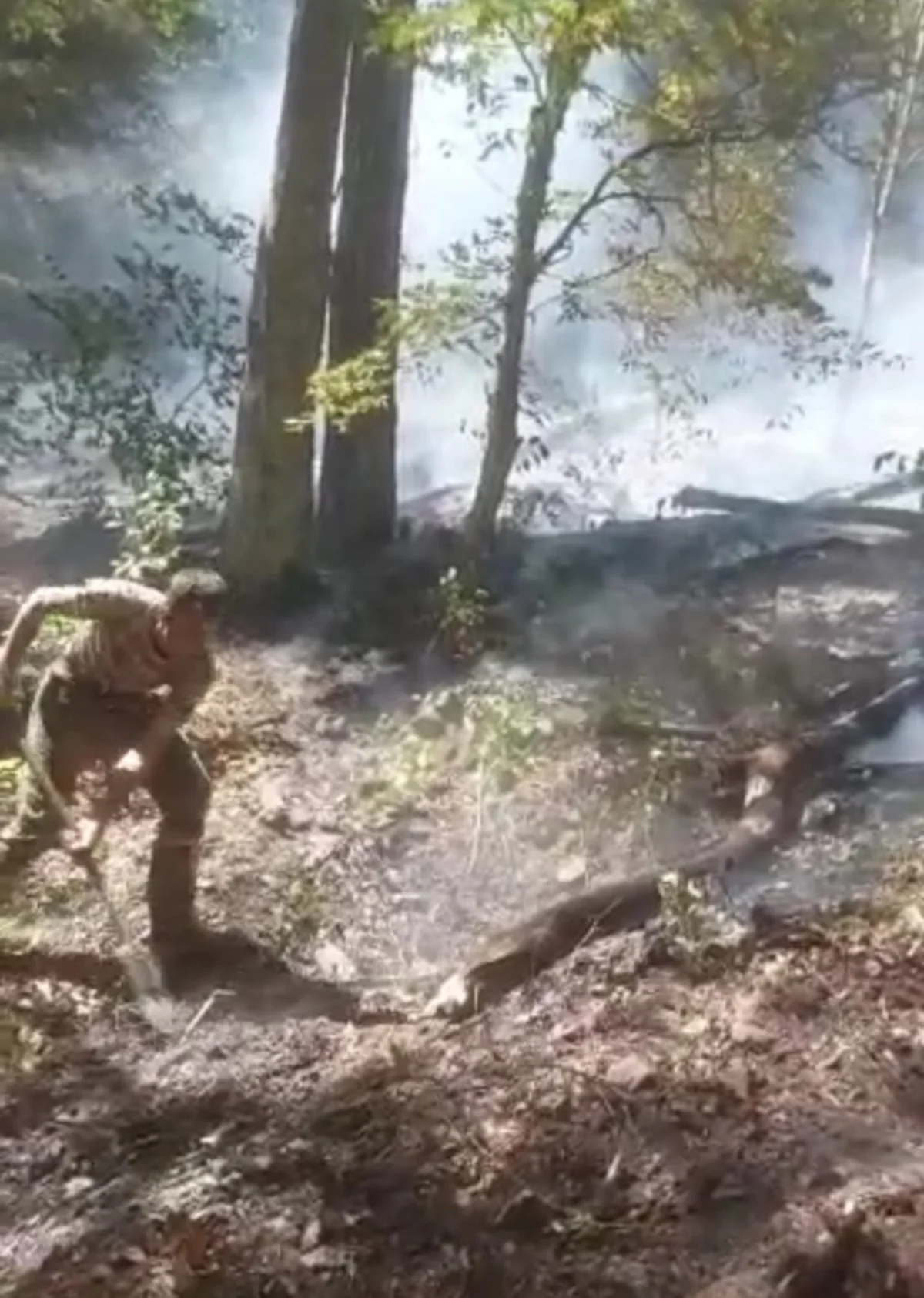 Fire in mountainous areas of Oghuz extinguished