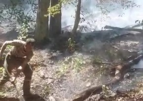 Fire in mountainous areas of Oghuz extinguished