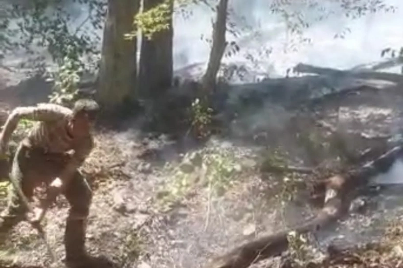 Fire in mountainous areas of Oghuz extinguished