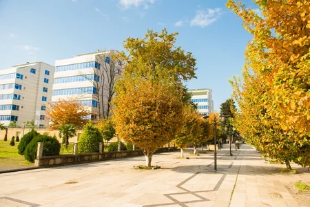 Lənkəranda “Qızıl payız” - FOTOREPORTAJ