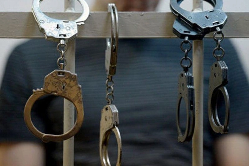 Şəmkirdə oğurluqla məşğul olan dəstə zərərsizləşdirilib