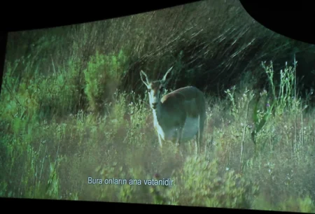 Absheron National Park documentary was presented