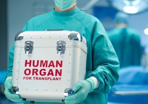 Cari ildə həyata keçirilən orqan transplantasiyası əməliyyatlarının nəticəsi açıqlanıb