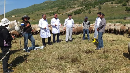 Heyvan düşərgələrində səyyar baytarlıq xidməti təşkil edilib