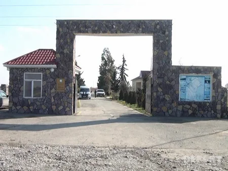 Şirvan Milli Parkından Ağ göl Milli Parkına 8 baş ceyran köçürülüb - FOTO
