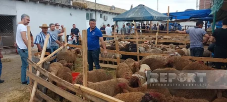 Paytaxt sakinləri qurban kəsir