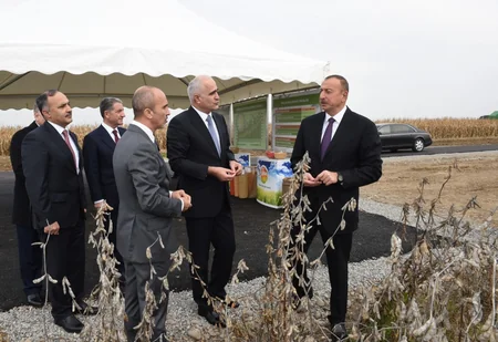 Prezident İlham Əliyev “Qarabağ Taxıl” MMC-nin özəl pilot taxılçılıq təsərrüfatının fəaliyyəti ilə tanış olub