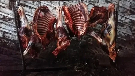 DBNX: Cəlilabadda at kəsimi ilə məşğul olan şəxs qanunsuz əməlini yenidən davam etdirib