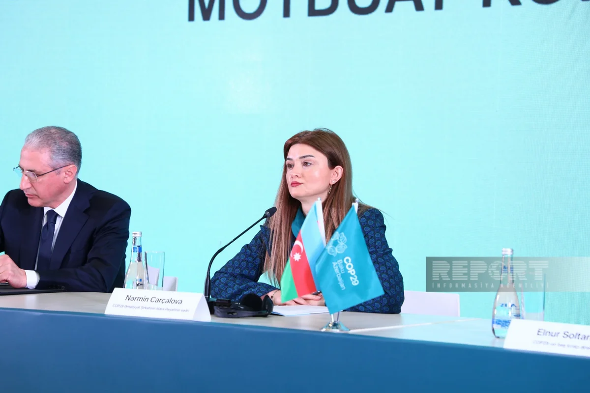 Narmin Jarchalova: UN representatives, volunteers and media representatives participate in preparation process for COP29