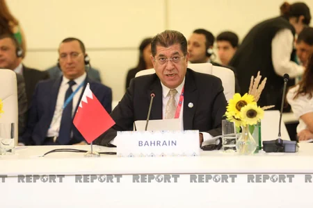 Baku Conference of NAM Parliamentary Network continues