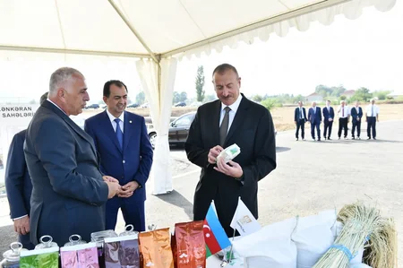 Prezident İlham Əliyev Lənkəranda “Astara Çay” MMC-nin çay plantasiyalarına baxıb