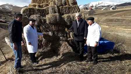 Gədəbəydə heyvanlar arasında profilaktik peyvəndləmə tədbirləri aparılır