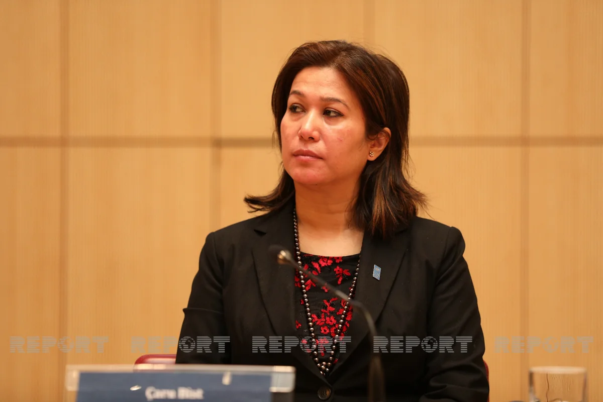 UNDP Representative: Mined territories pose great threat to civilians