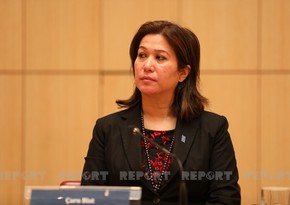 UNDP Representative: Mined territories pose great threat to civilians