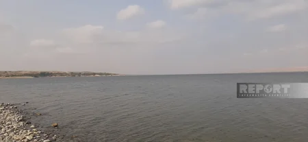 Şəmkir və Yenikənd su anbarlarına balıq körpələri buraxılıb