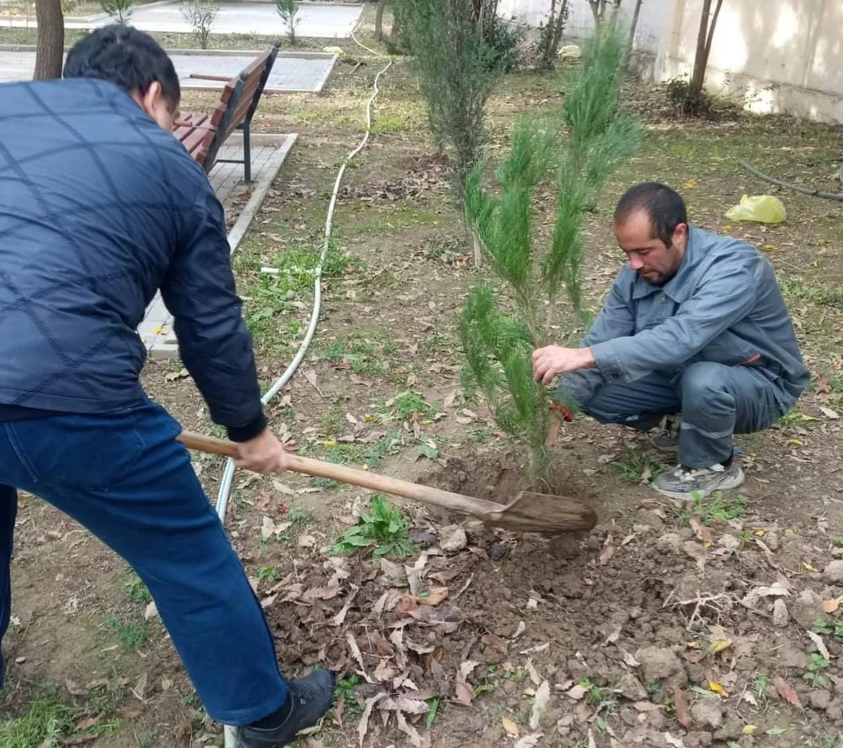 Mingəçevirdə bu gün 640 ədəd ağac əkilib
