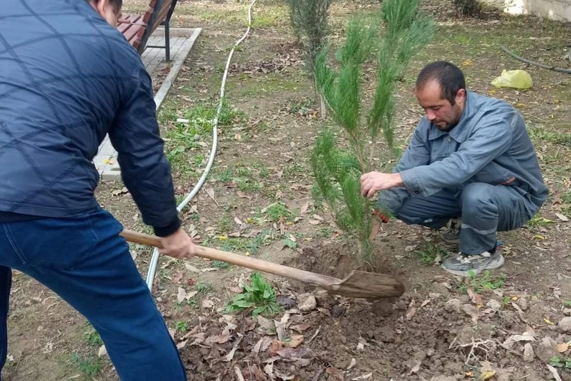 Mingəçevirdə bu gün 640 ədəd ağac əkilib