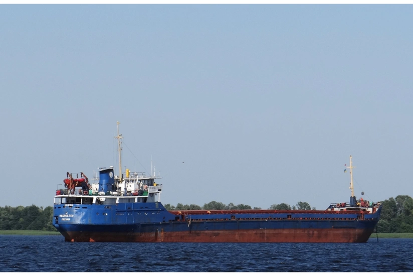Two Ukrainian sailors killed as ship sinks in Black Sea