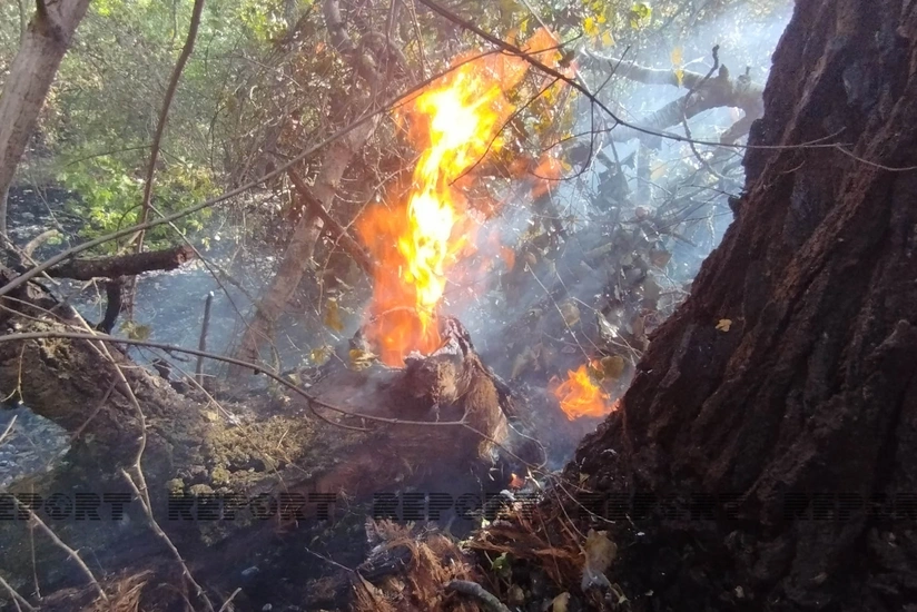 Fire breaks out in forest expanses in Khudat