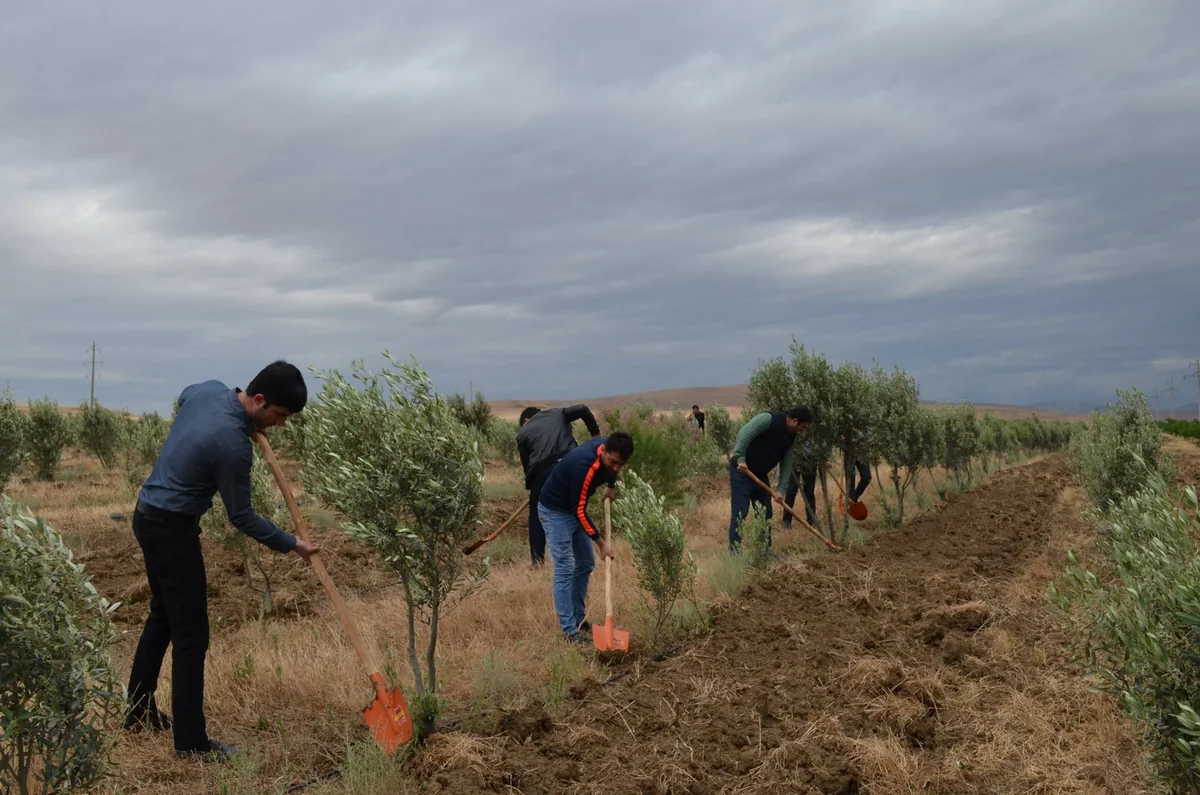 ETSN “5 iyun Ümumdünya ətraf mühitin mühafizəsi günü” ilə əlaqədar iməcilik keçirib