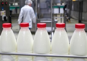 Расследуются случаи нарушения антимонопольного законодательства в деятельности ATENA