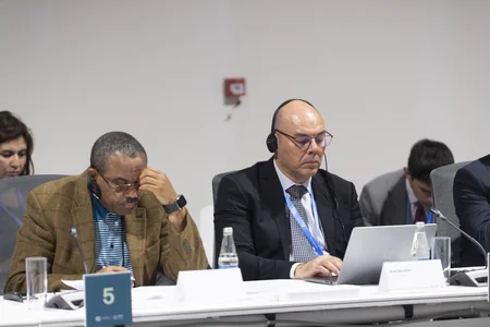 Baku hosts panel discussions on 'From Global Goals to Local Action' as part of COP29