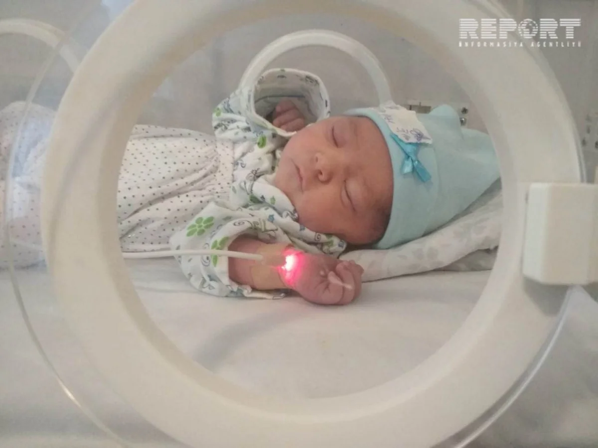 2018-ci ildə Bərdə rayonunda doğulan ilk uşaqlar oğlan olub - FOTO