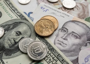 Украина рассматривает возможность перехода от доллара к евро в качестве базовой валюты
