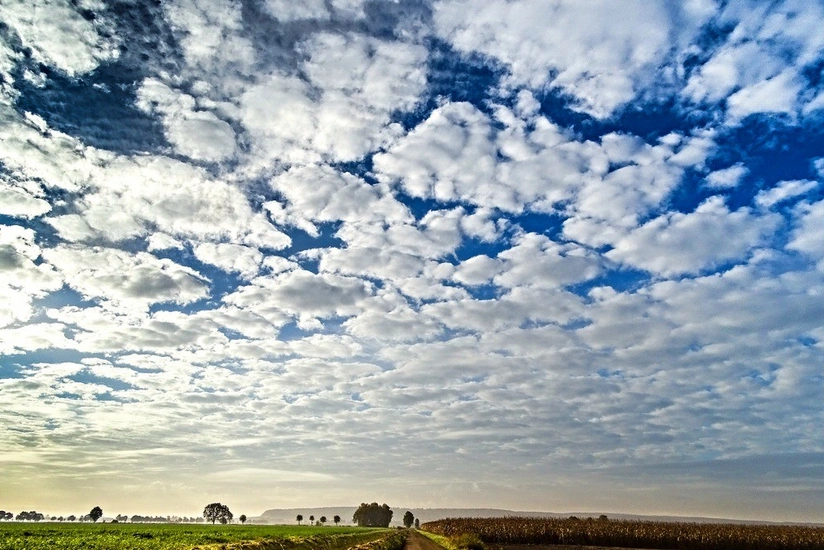 Weather forecast for tomorrow announced