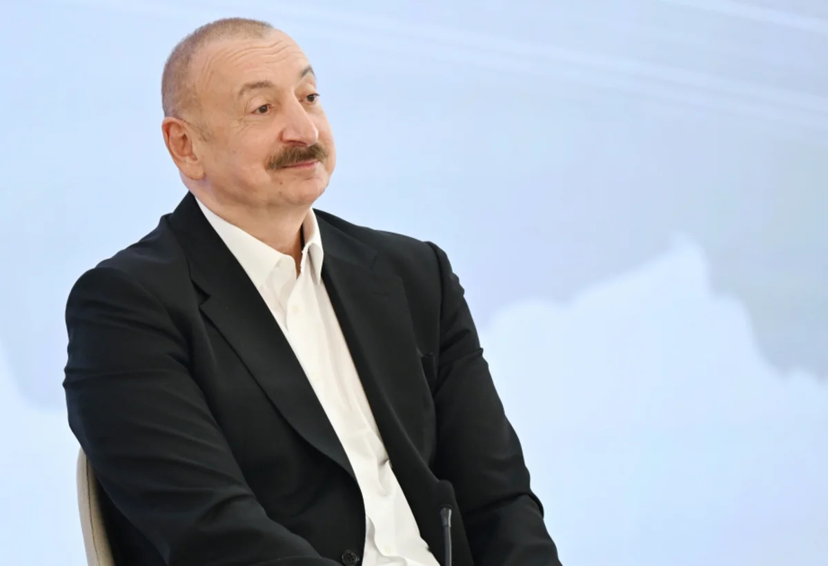 President Ilham Aliyev: We support African countries with respect to climate change