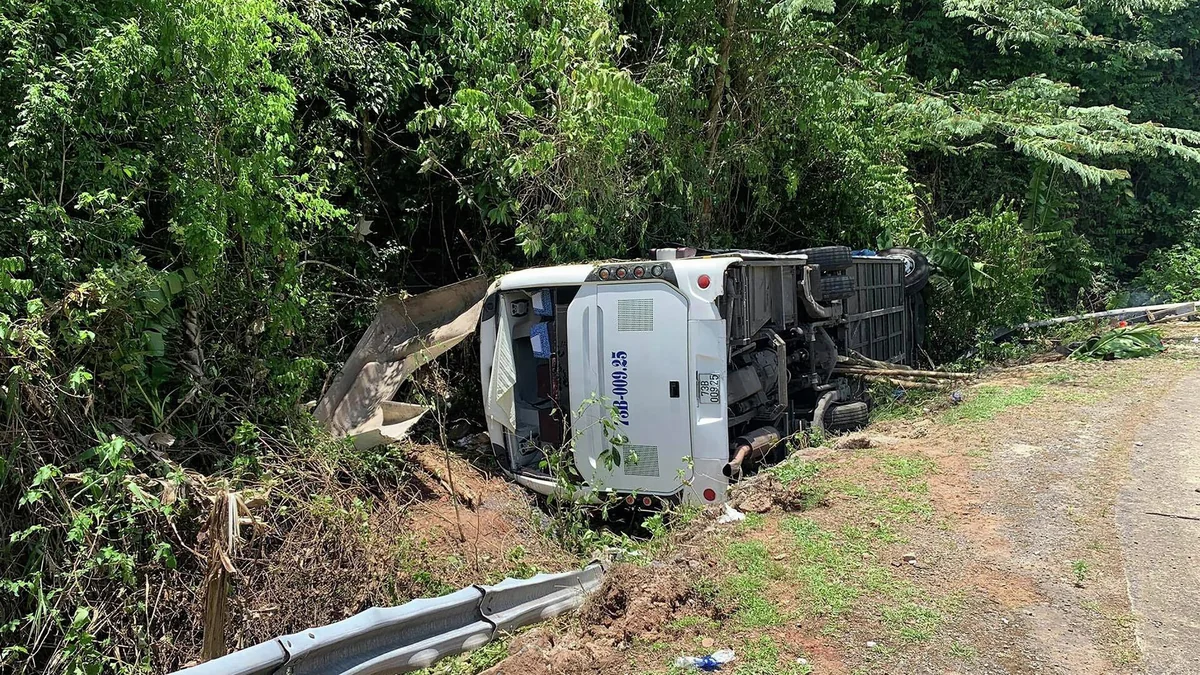 Eight killed in India as bus falls into ravine