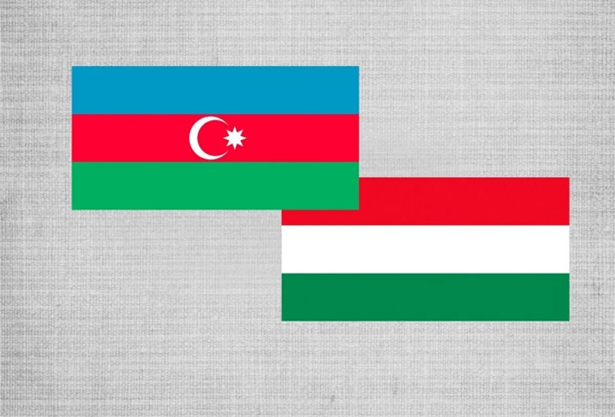 Preparations for next Azerbaijan-Hungary joint commission meeting discussed