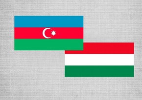 Preparations for next Azerbaijan-Hungary joint commission meeting discussed