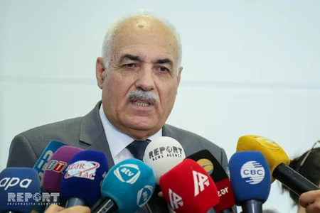 Baş direktor müavini: Azərbaycanda malyariyanın qarşısı tam olaraq alınıb