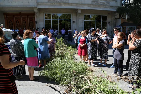 В Баку жители провели акцию протеста против вырубки деревьев - ФОТО