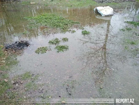 Bərdədə məcburi köçkünlərin evlərini su basıb - VİDEOREPORTAJ