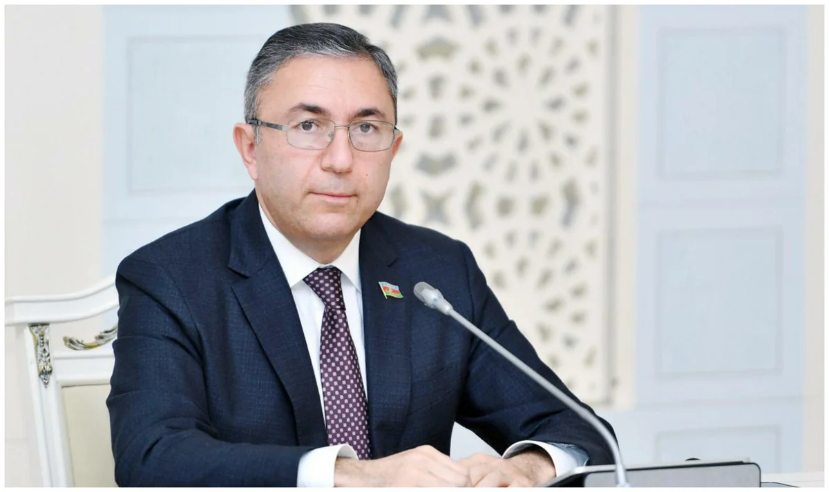 Milli Məclisin komitə sədri Ermənistan parlamentinin rəhbəri ilə görüşüb