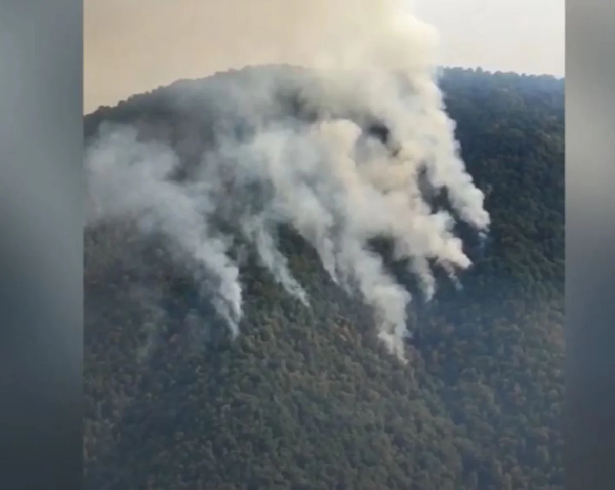 FHN: Zaqatala, Qəbələ və Oğuzda baş vermiş yanğınlar davam edir