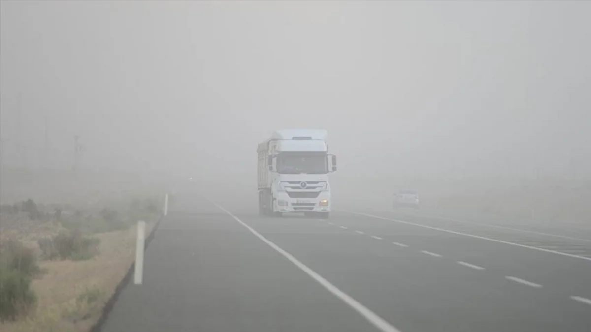 Joint venture Middle Corridor to be established next year