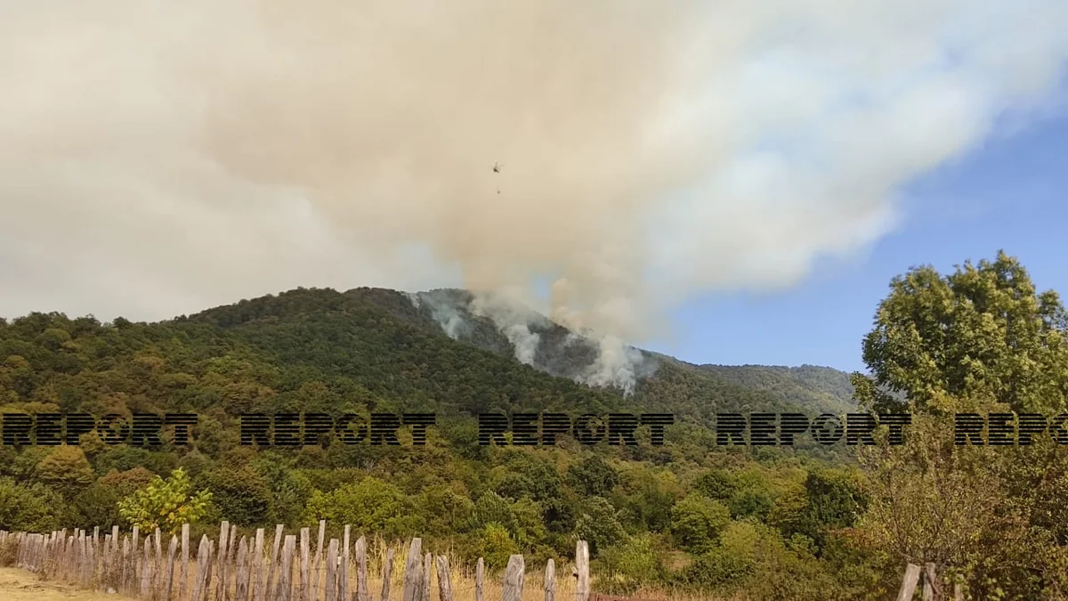 Zaqatalada dağlıq ərazidə baş verən yanğının sahəsi genişlənib
