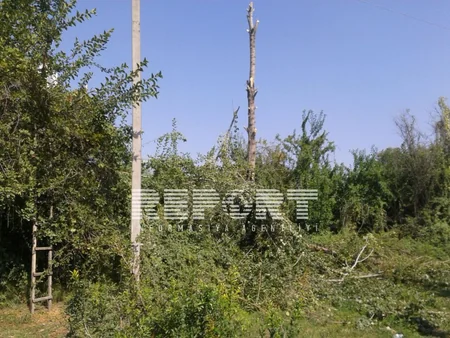 Azərbaycanda güclü külək Göyçay rayonunu elektrik enerjisiz qoyub